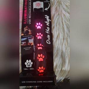 NIGHT SCOUT USB RECHARGEABLE DOG COLLAR